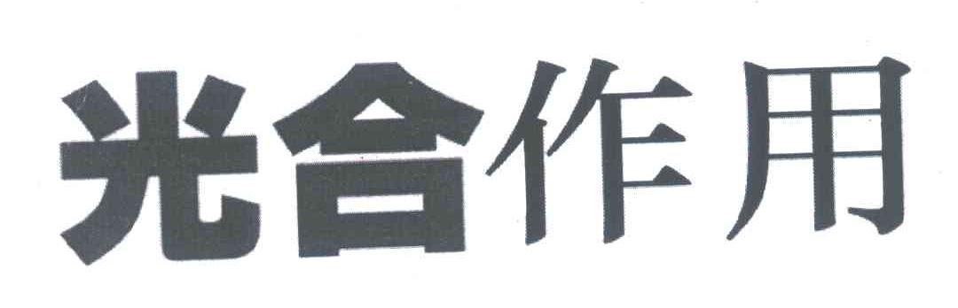 光合作用