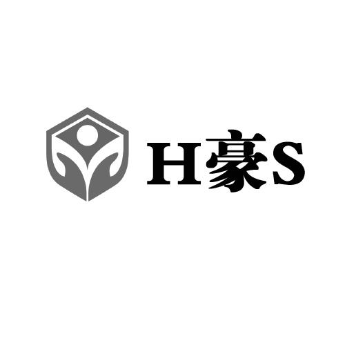H豪S