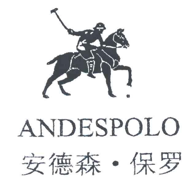 安德森.保罗;ANDESPOLO