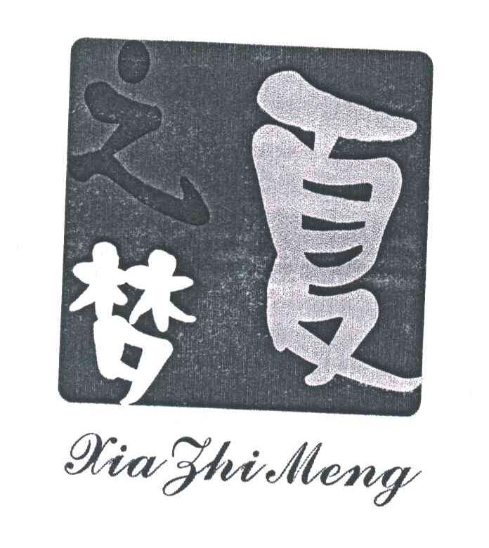 夏之梦