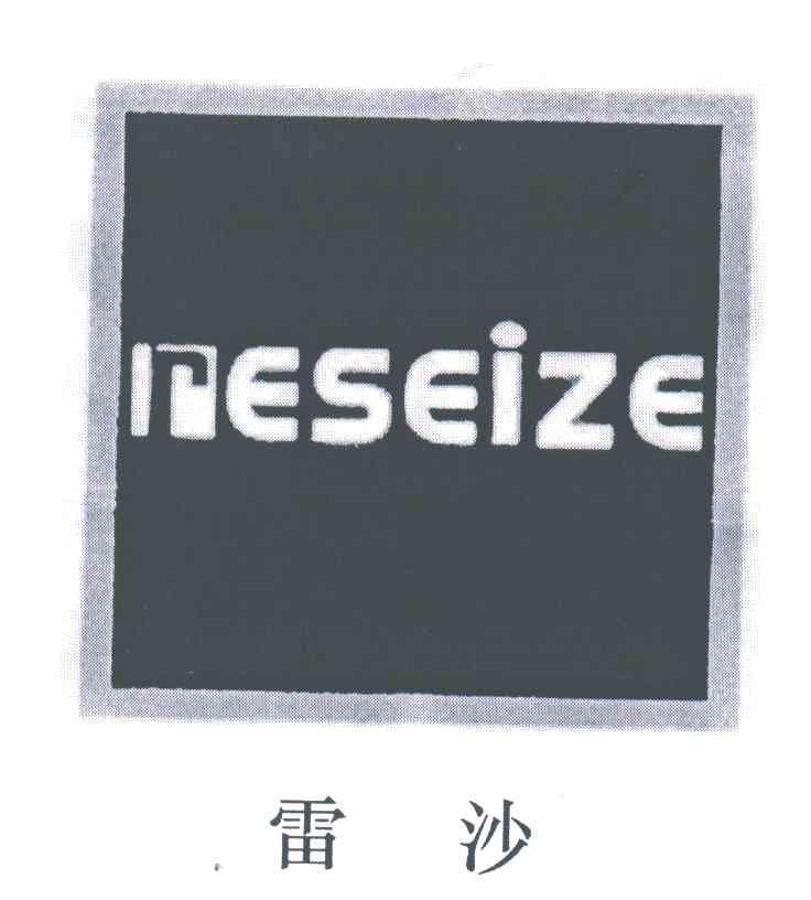 雷沙;RESEIZE