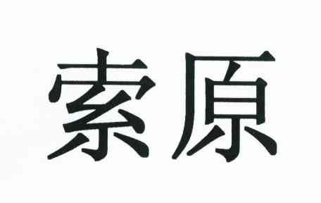 索原