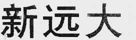 新远大