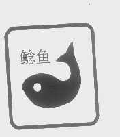 鲶鱼