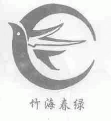 竹海春绿
