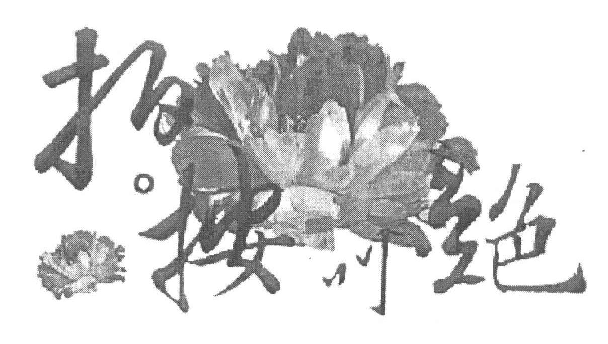 拍按叫绝