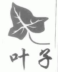 叶子