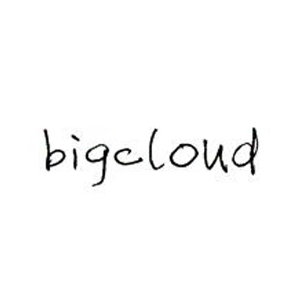 BIGCLOUD