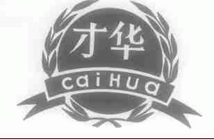 才华