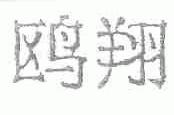 鸥翔