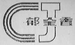 郁金香