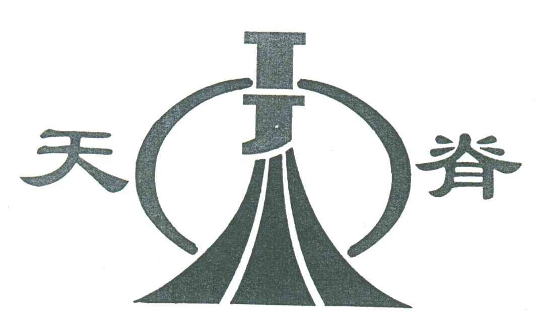 天脊TJ