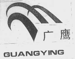 广鹰