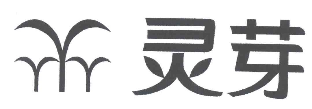 灵芽
