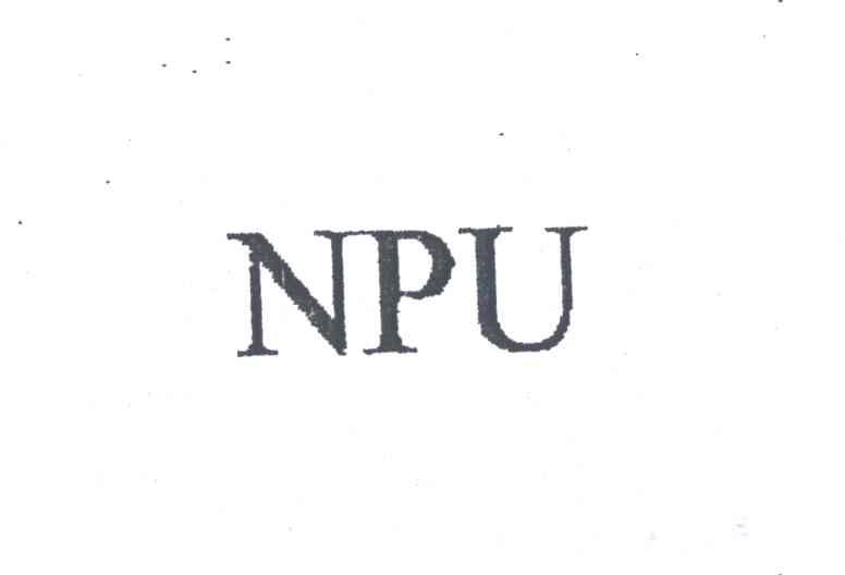 NPU