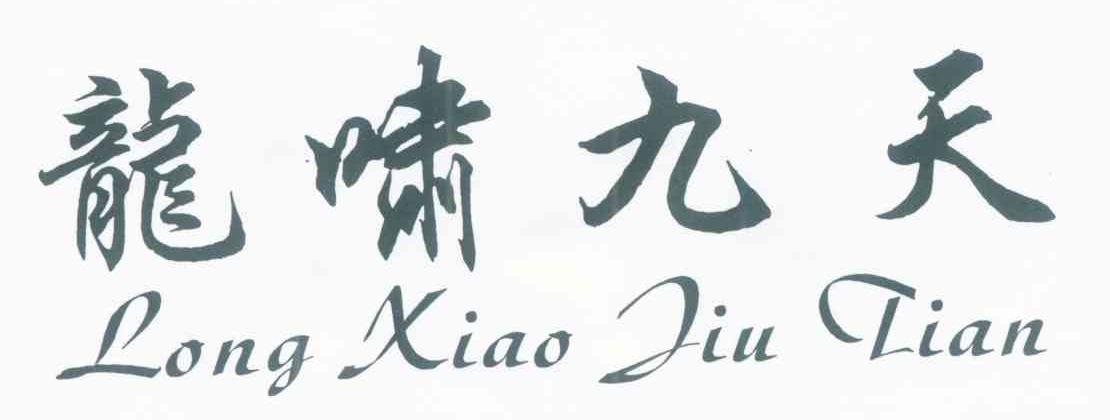 龙啸九天
