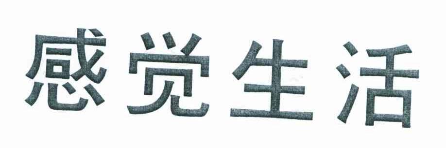 感觉生活
