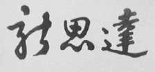 新思达