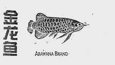 金龙鱼   ARAWANA