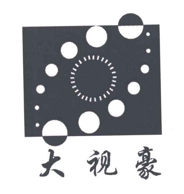 大视豪