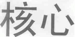 核心