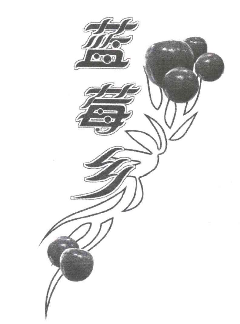 蓝莓乡