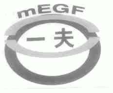 一夫;MEGF