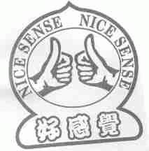 好感觉;NICE SENSE