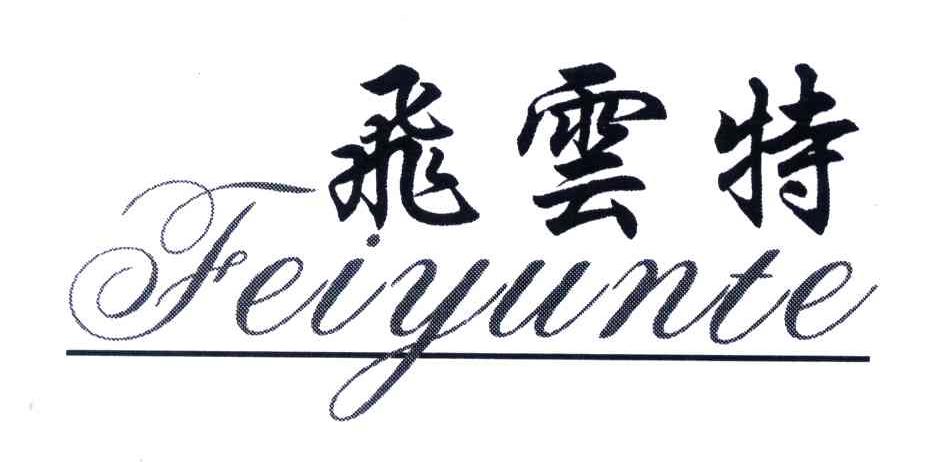 飞云特