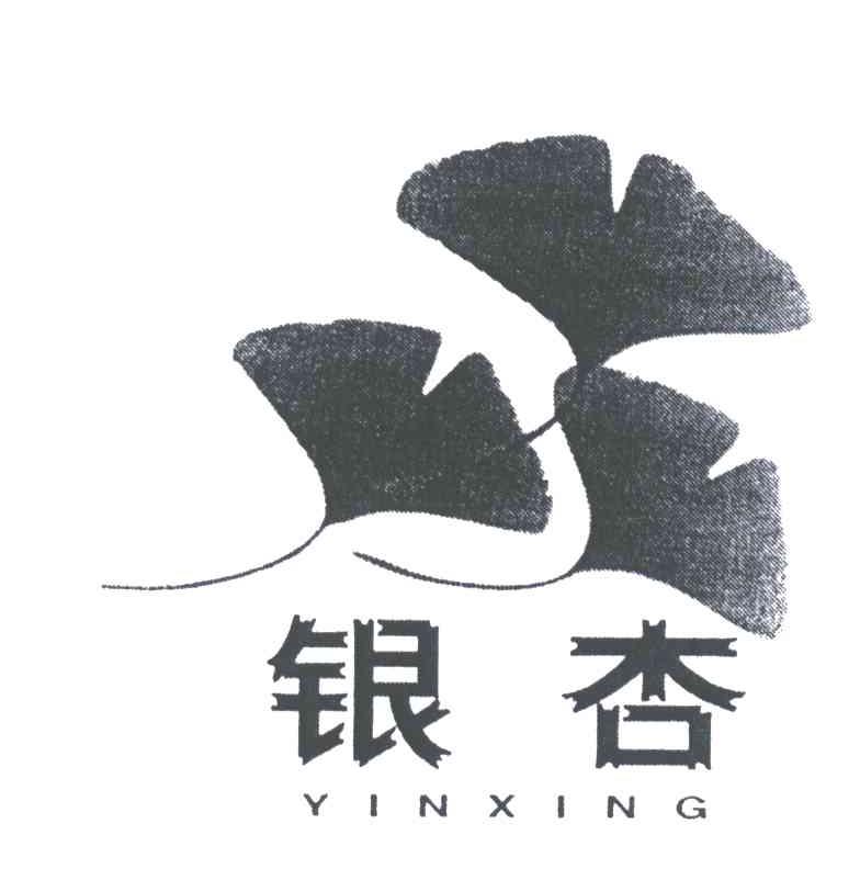 银杏