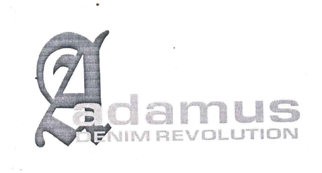 AADAMUS DENIM REVOLUTION