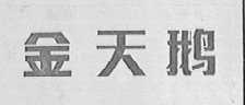 金天鹅