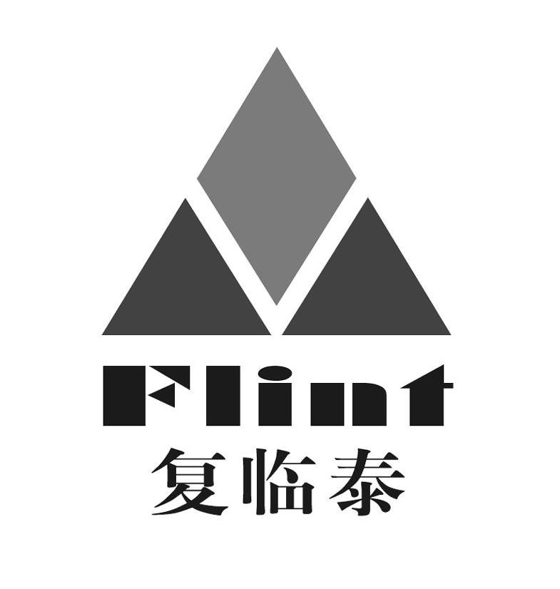 复临泰 FLINT