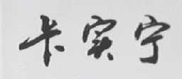 卡实宁