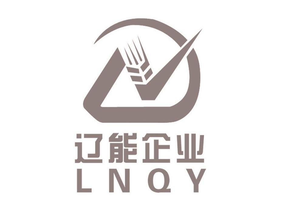 辽能企业 LNQY