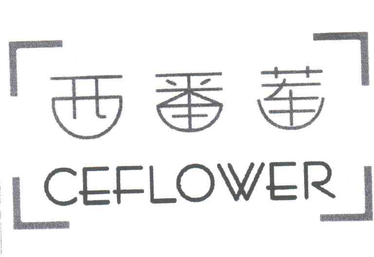 西番莲;CEFLOWER