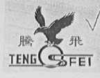 腾飞