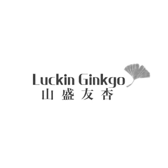 山盛友杏 LUCKIN GINKGO