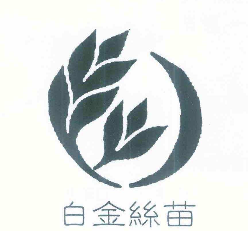 白金丝苗