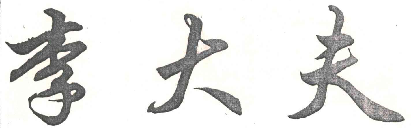 李大夫