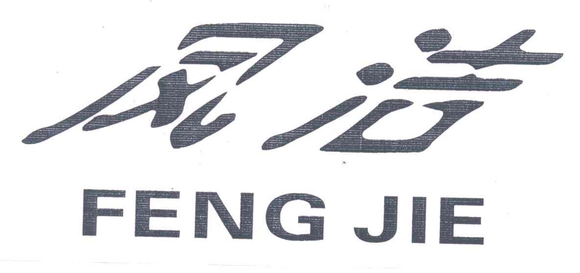 凤洁;FENG JIE