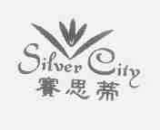 赛思蒂;SILVER CITY