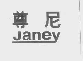 尊尼   JANEY