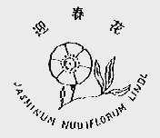 迎春花;JASMINUM NUDIFLORUM LINDL