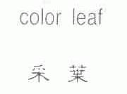 采叶;COLOR LEAF