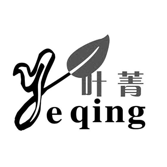 叶菁 YEQING
