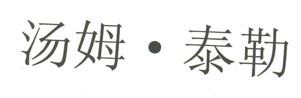 汤姆泰勒