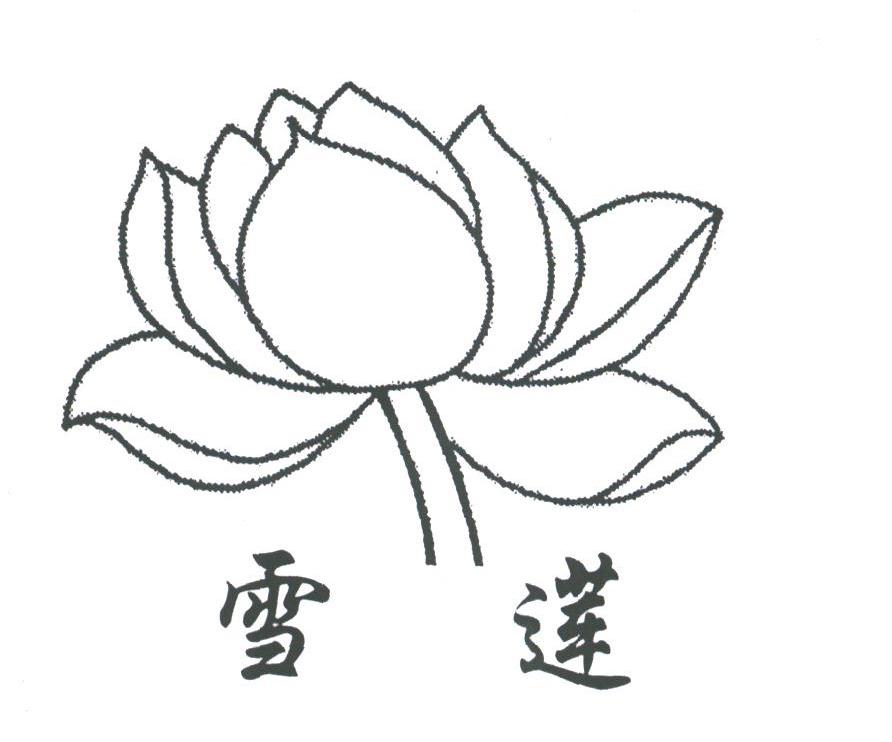 雪莲