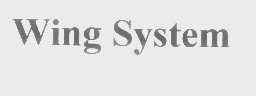 WING SYSTEM