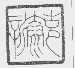 新泰克